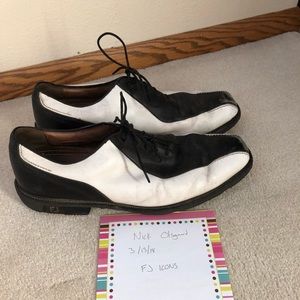 Footjoy FJ ICON golf shoes